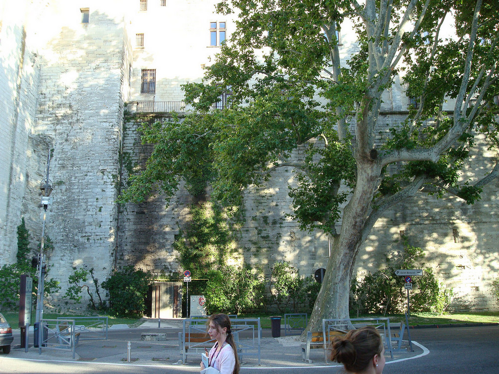 Avignon Group 2