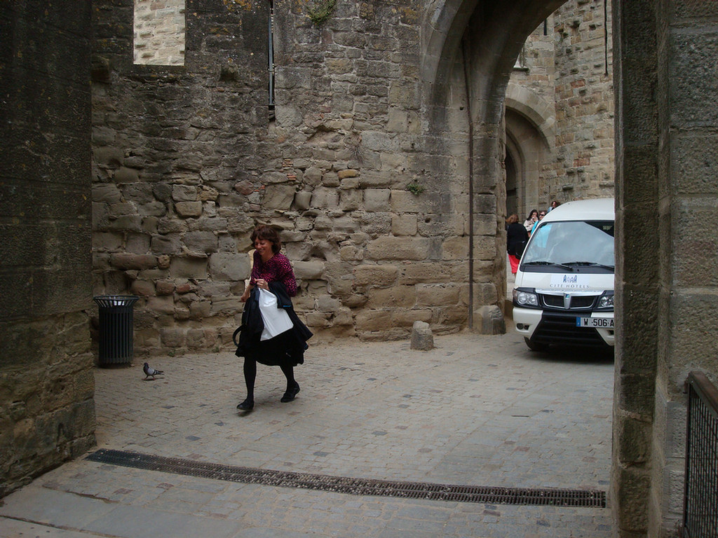 Carcassonne Group 2