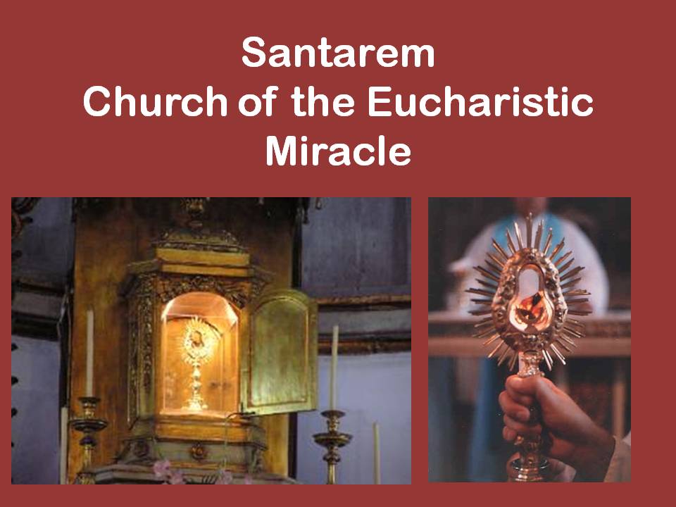 SSPX 2013 Anniversary Pilgrimage