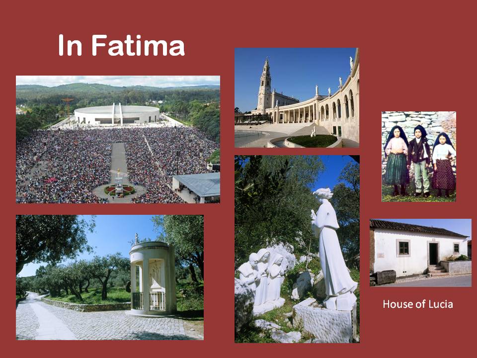 SSPX 2013 Anniversary Pilgrimage